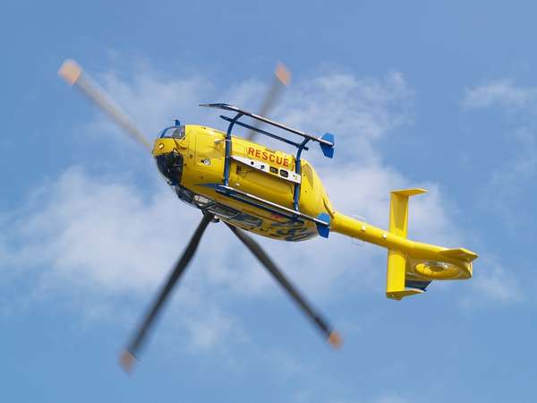 15503 B / 600 x 450 / cdsc4.jpg