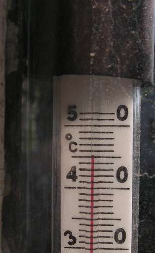 15563 B / 307 x 500 / PICT3077.JPG