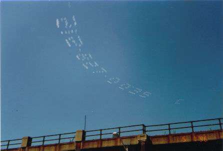 8626 B / 446 x 301 / SAVE0000.jpg