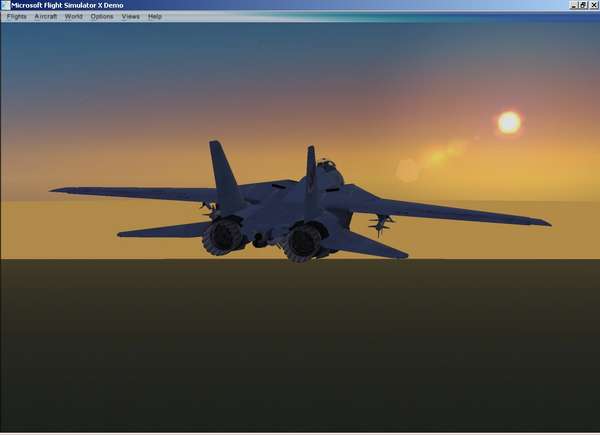 12822 B / 600 x 435 / F-14_FSX4.jpg