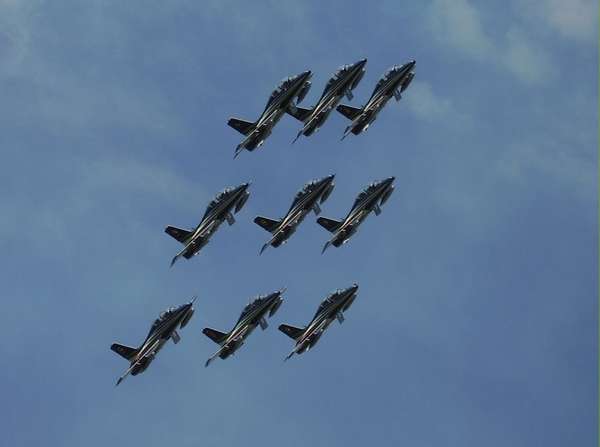 11968 B / 600 x 447 / P9020285.JPG
