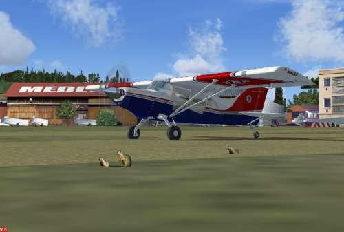 15555 B / 500 x 337 / sysel_fsx.jpg