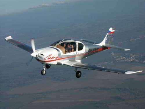 11256 B / 500 x 375 / Cobra.jpg