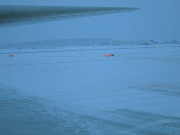 11597 B / 600 x 450 / IMG_8361.JPG