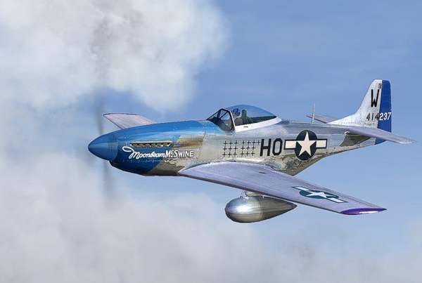 16006 B / 600 x 403 / p51_prmb-1.jpg