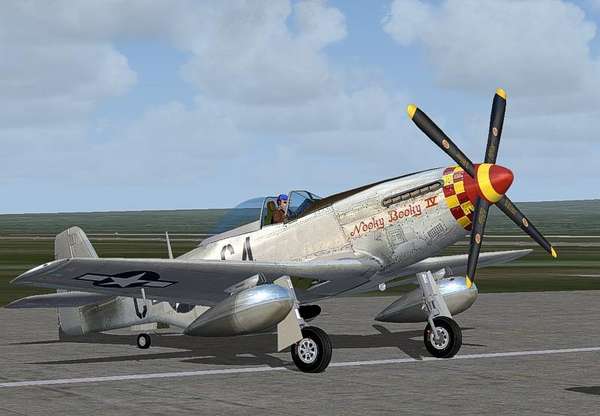 25392 B / 600 x 416 / p51_prnb-1.jpg