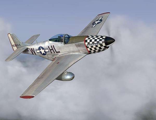 17316 B / 600 x 463 / p51_prtt-1.jpg