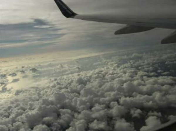 18952 B / 600 x 449 / 20-1-2007_6-15-05.jpg