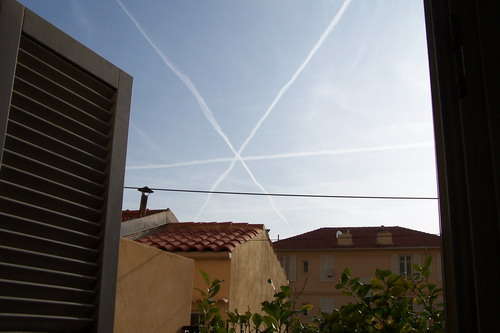 14925 B / 500 x 333 / 01.jpg