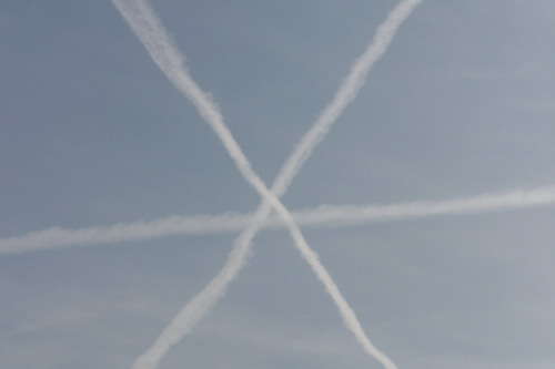 4497 B / 500 x 333 / 02.jpg