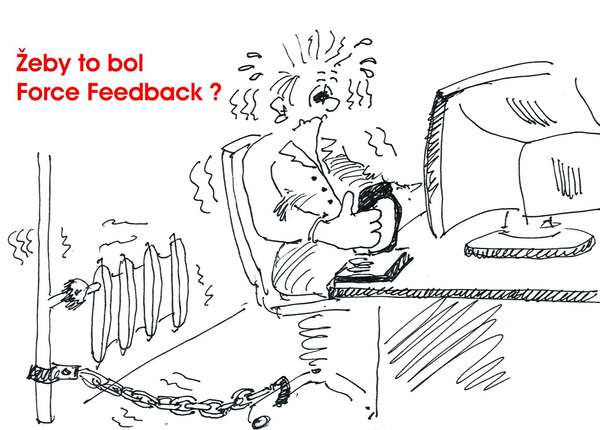 40191 B / 600 x 430 / Force Feedback.jpg