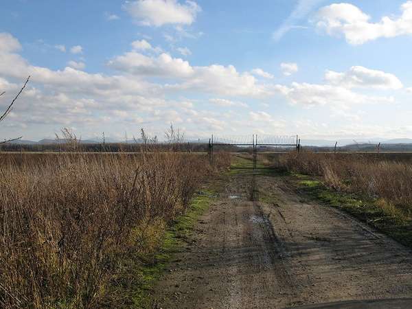 36858 B / 600 x 450 / IMG_0505.jpg