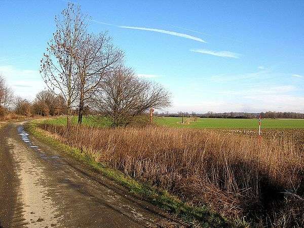 64283 B / 600 x 450 / IMG_0479.jpg