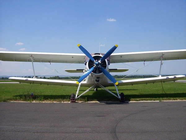 23450 B / 600 x 453 / 100_0669.jpg