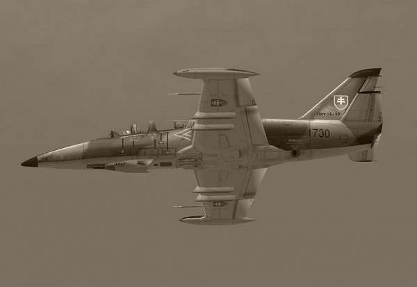 8927 B / 600 x 413 / L-39.jpeg