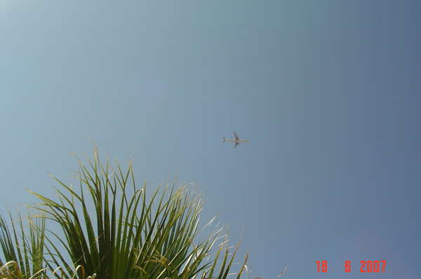 14892 B / 600 x 398 / DSC00080.JPG