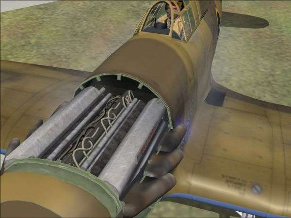 27953 B / 600 x 450 / hurricane_f_37.jpg