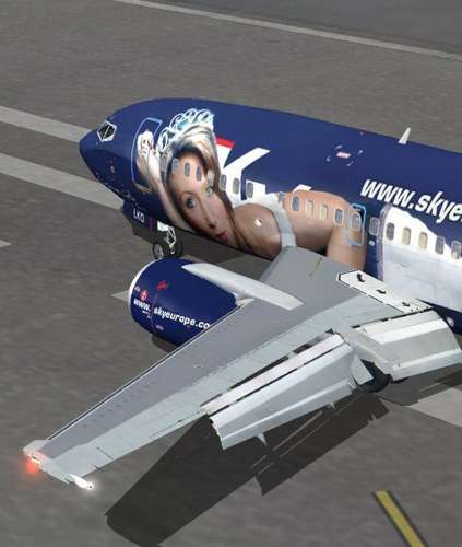 21931 B / 423 x 500 / Image20.jpg