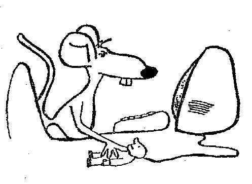 23306 B / 497 x 363 / MOUSE[1].gif