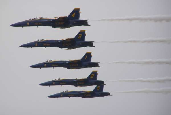 10991 B / 600 x 404 / P8135086.JPG