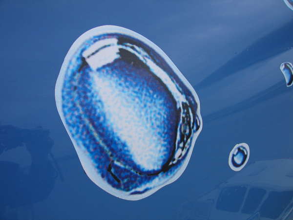 20903 B / 600 x 450 / IMG_3342.jpg