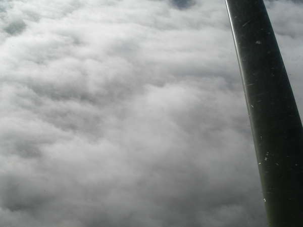 11176 B / 600 x 450 / PICT0222.JPG