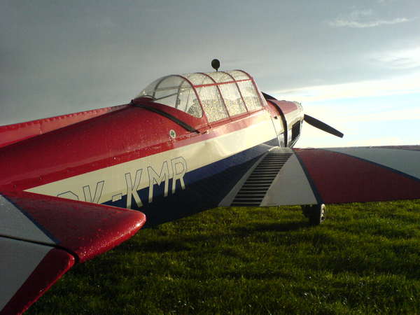 27561 B / 600 x 450 / DSC00582.JPG