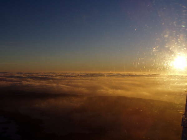 11550 B / 600 x 450 / P1010060.JPG