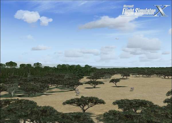 28894 B / 600 x 429 / blgb.jpg