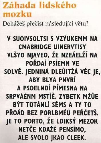 38516 B / 353 x 500 / 76-mozek.jpg