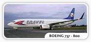 3453 B / 185 x 85 / Boeing 737-800 Travel Service.jpg