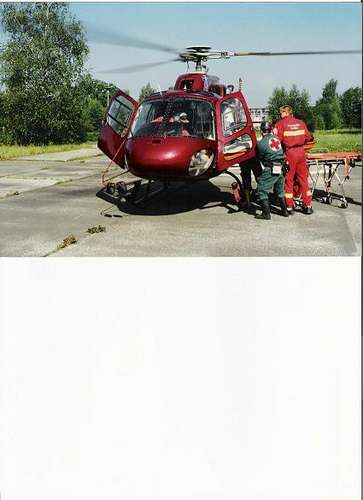 20501 B / 363 x 500 / LZS +HBZS.jpg