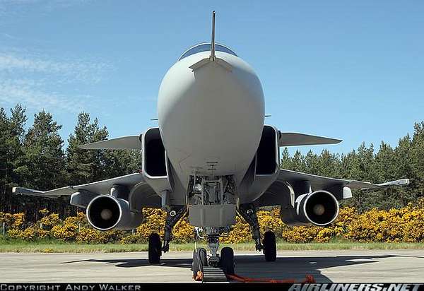 40261 B / 600 x 412 / fsafgr.JPG