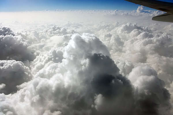 21903 B / 600 x 400 / IMG_3171_rw.JPG