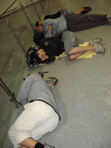 19754 B / 375 x 500 / IMG_0117.JPG