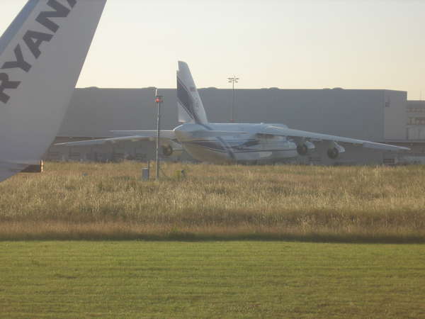 20327 B / 600 x 450 / IMG_0156.JPG