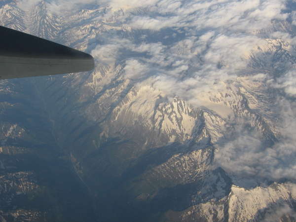 29333 B / 600 x 450 / IMG_0235.JPG