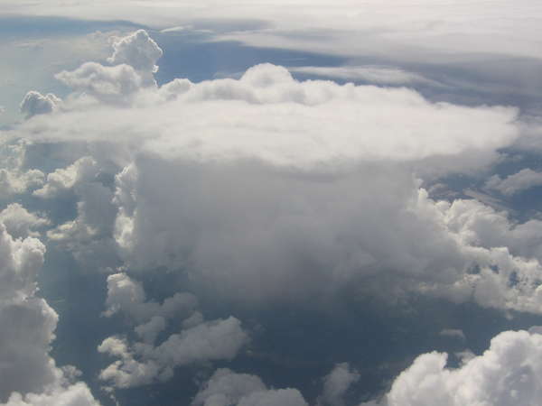 16471 B / 600 x 450 / IMG_0711.JPG