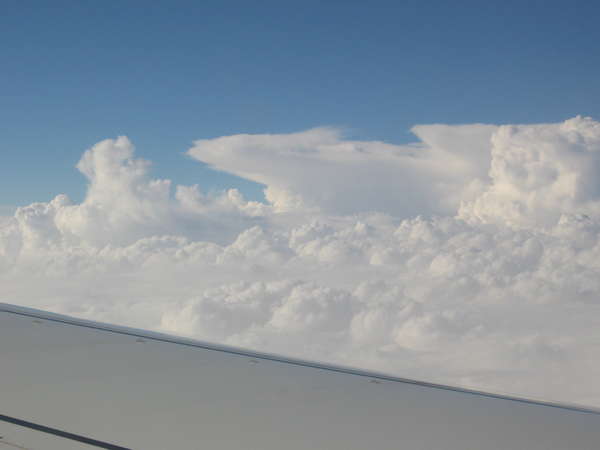 11272 B / 600 x 450 / IMG_0770.JPG