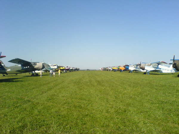 26817 B / 600 x 450 / DSC01064.JPG