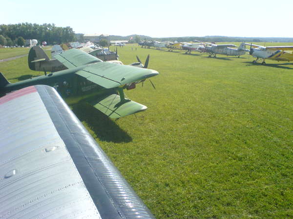 35353 B / 600 x 450 / DSC01066.JPG