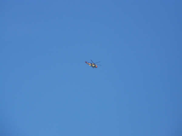 4541 B / 600 x 450 / SeaKing.jpg