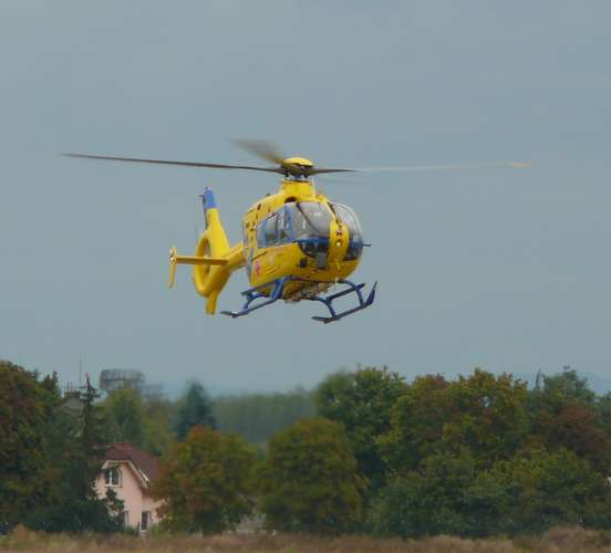 15389 B / 552 x 500 / P1100126x.JPG