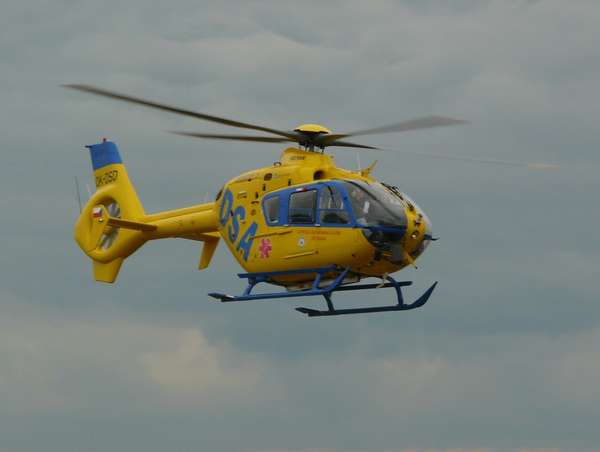 12382 B / 600 x 452 / P1100132xsm.JPG