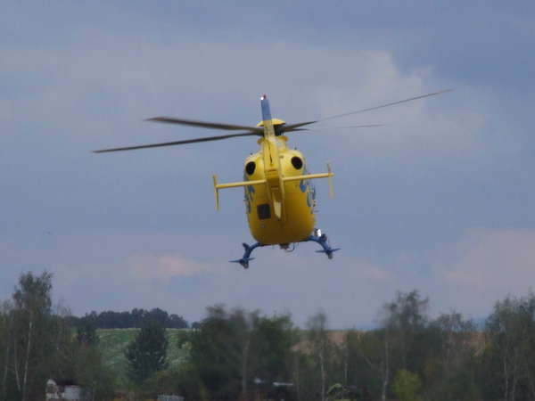 12317 B / 600 x 450 / DSCF4754.JPG