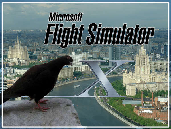 52296 B / 600 x 452 / splash_fogl.jpg