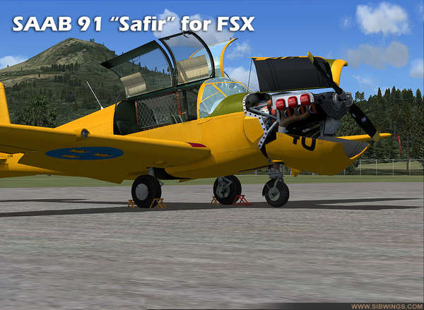 42744 B / 600 x 439 / saf_07.jpg