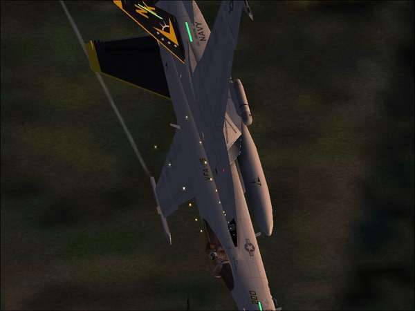 15157 B / 600 x 450 / bug1.jpg