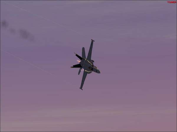 6962 B / 600 x 450 / bug2.jpg