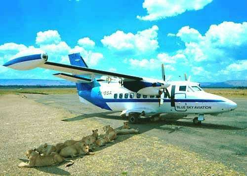 27764 B / 500 x 357 / asi jim je vedro....jpg